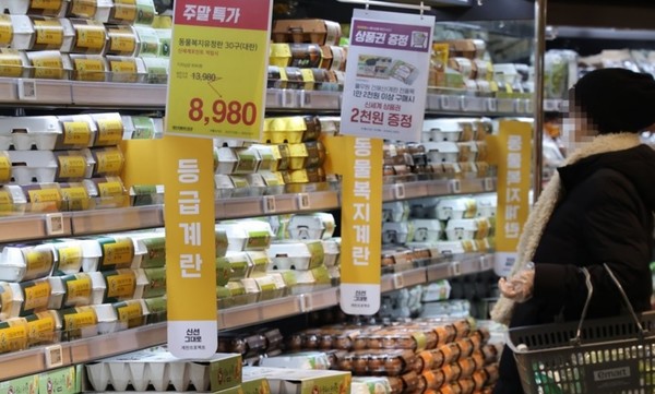 마트에서 판매되는 계란을 살펴보는 고객./사진=연합뉴스