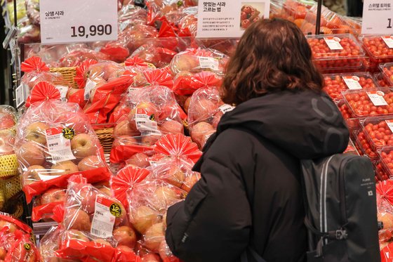 대형마트 매대에 놓여 있는 사과를 한 소비자가 둘러보고 있다. 사진=연합뉴스